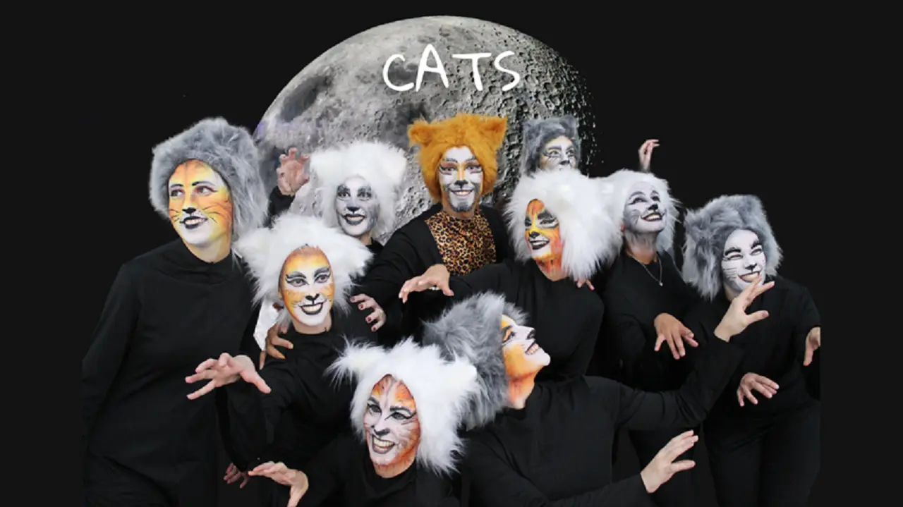 Emovere Estúdio de Dança apresenta espetáculo Cats no Teatro Gamaro