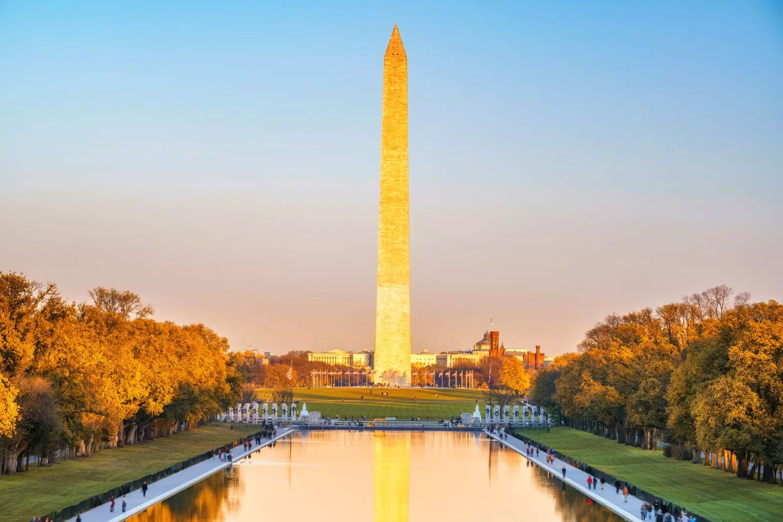 Lugar no feed: conheça os locais mais instagramáveis de Washington, DC